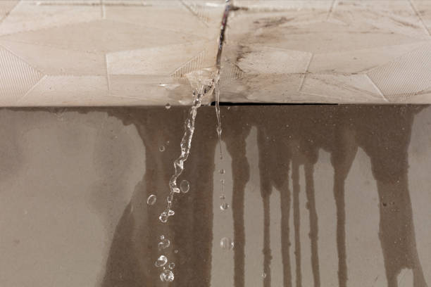 Professional Water Damage Restoration technician working in Saint Marys, IA